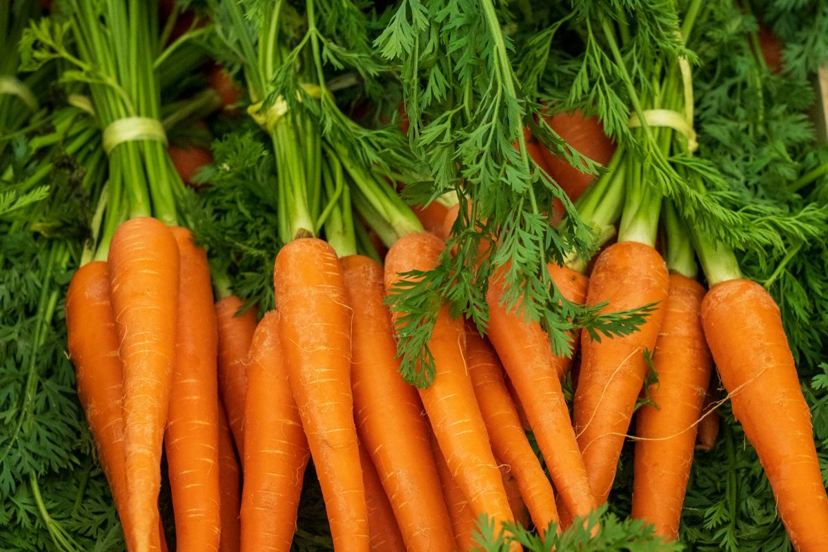 Биолог Мальцева перечислила продукты, которые снимают воспаление в организме, врач Пономарева объяснила, почему одного питания недостаточно
