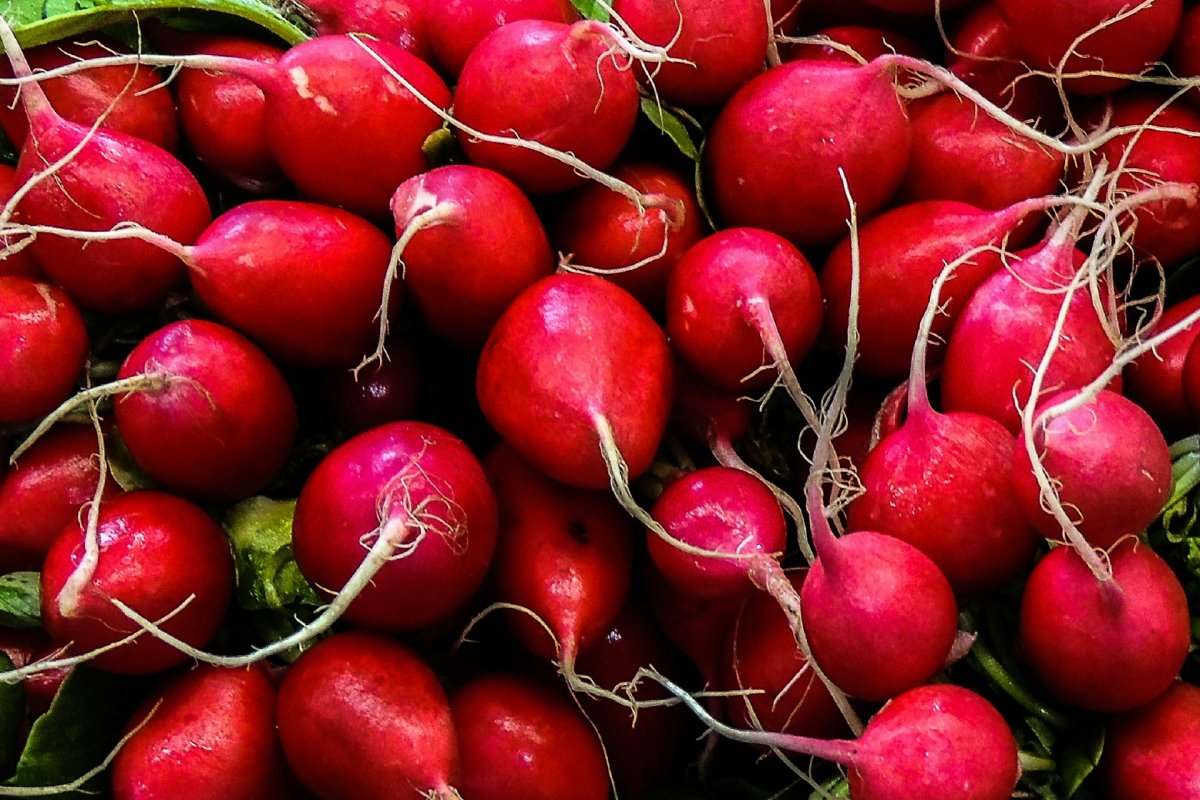 Врач Лебедева назвала 4 запрещенных продукта при панкреатите, врач Алисова назвала продукты, которые нужно есть при проблемах с поджелудочной