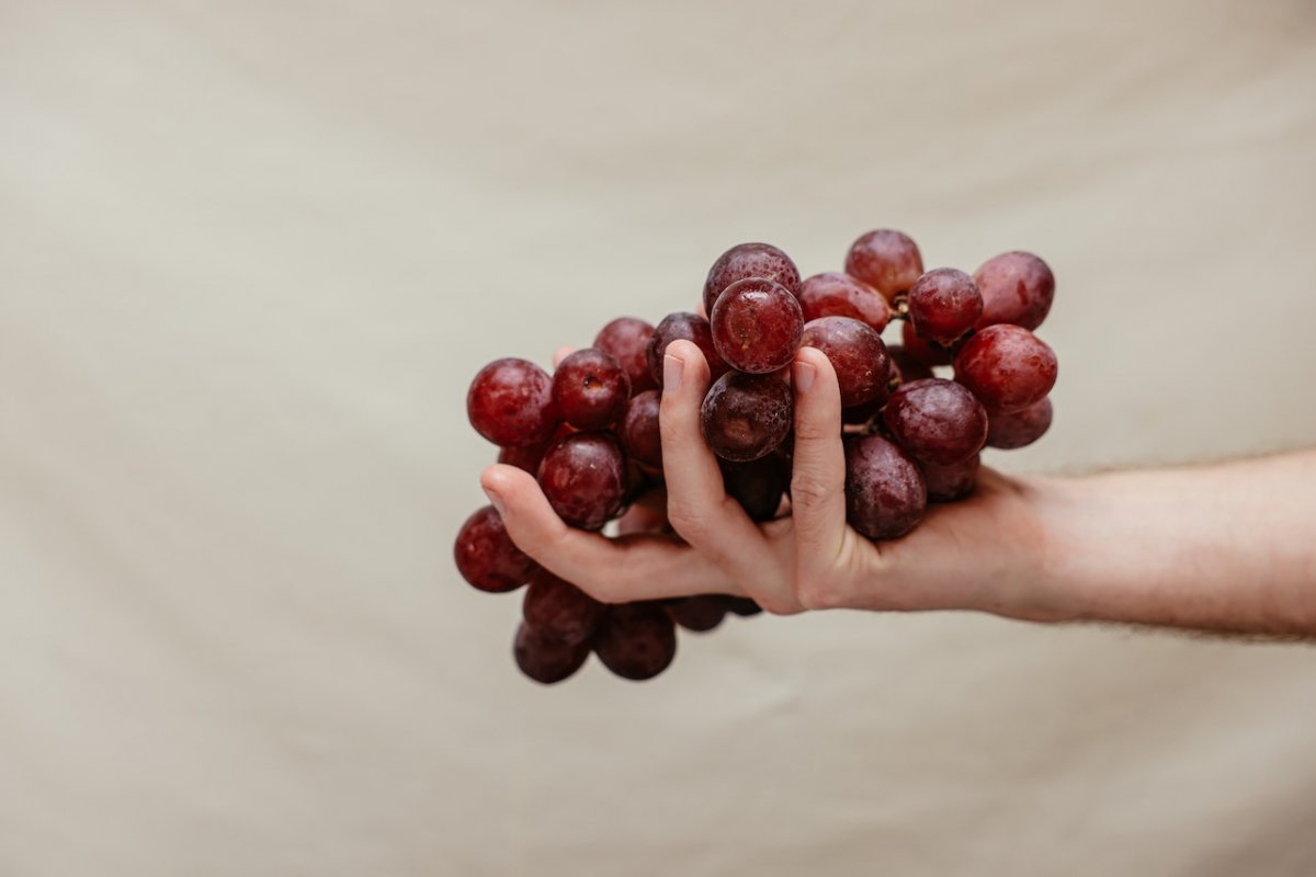 Кардиолог назвал продукты, которые увеличивают количество капилляров — «естественный шунт»