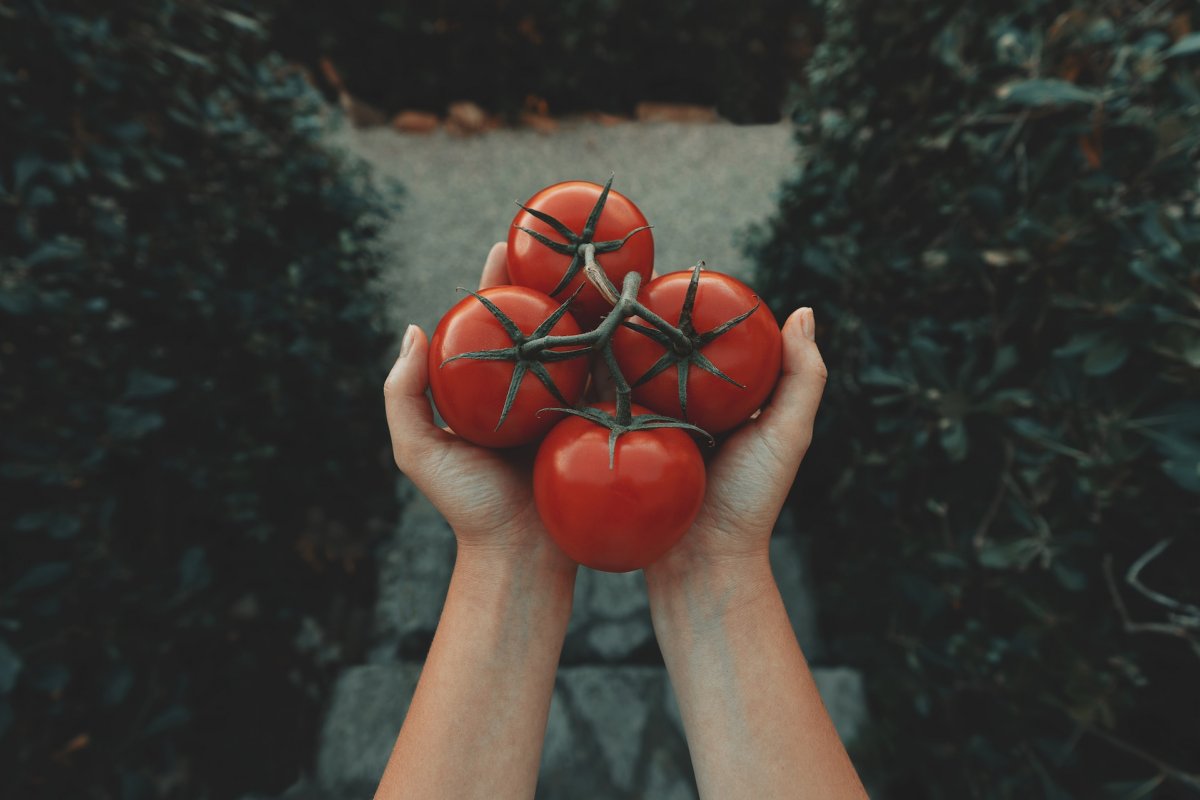 Гепатолог Южнова: эти 7 продуктов укрепляют вашу печень
